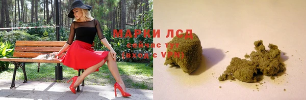 гидра Арсеньев