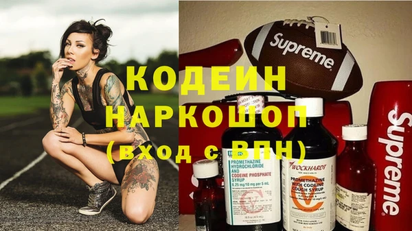 гидра Арсеньев