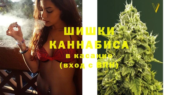 гидра Арсеньев