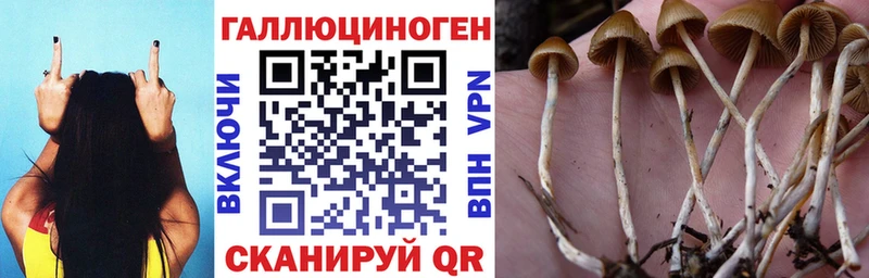 Псилоцибиновые грибы GOLDEN TEACHER Ершов