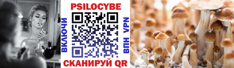 дарнет шоп Ершов Псилоцибиновые грибы ЛСД
